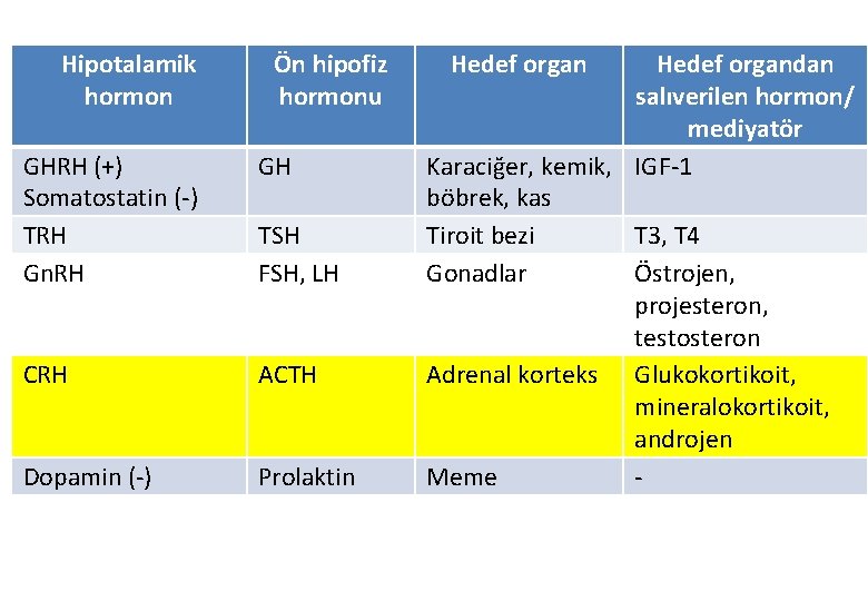 Hipotalamik hormon Ön hipofiz hormonu GHRH (+) Somatostatin (-) TRH Gn. RH GH CRH Hipotalamik hormon Ön hipofiz hormonu GHRH (+) Somatostatin (-) TRH Gn. RH GH CRH