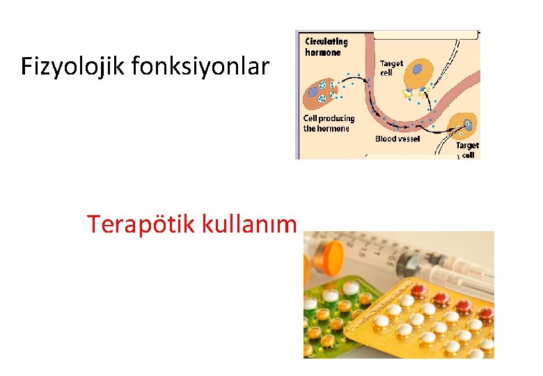 Fizyolojik fonksiyonlar Terapötik kullanım 