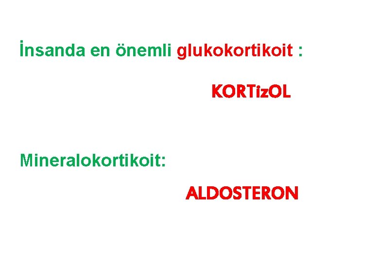 İnsanda en önemli glukokortikoit : KORTiz. OL Mineralokortikoit: ALDOSTERON 