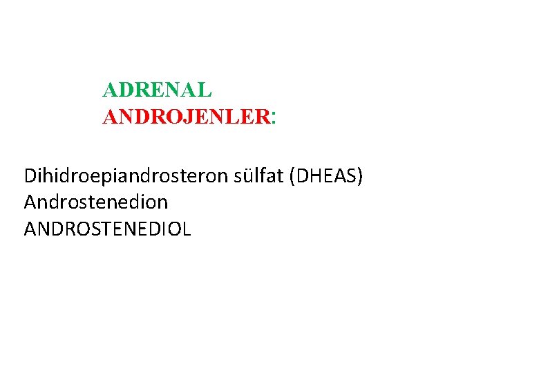 ADRENAL ANDROJENLER: Dihidroepiandrosteron sülfat (DHEAS) Androstenedion ANDROSTENEDIOL 