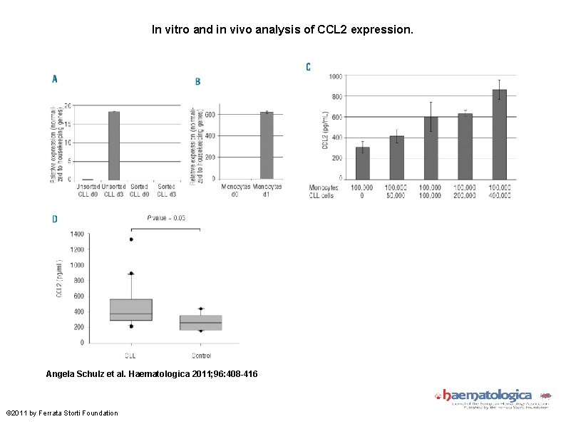 In vitro and in vivo analysis of CCL 2 expression. Angela Schulz et al.