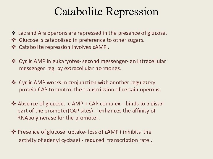Catabolite Repression v Lac and Ara operons are repressed in the presence of glucose.
