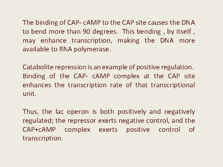 The binding of CAP- c. AMP to the CAP site causes the DNA to