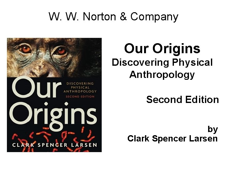 W. W. Norton & Company Our Origins Discovering Physical Anthropology Second Edition by Clark