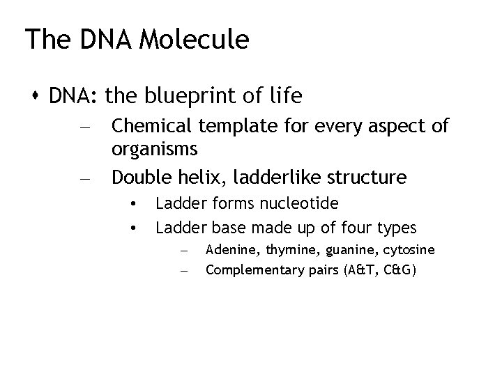 The DNA Molecule DNA: the blueprint of life – – Chemical template for every