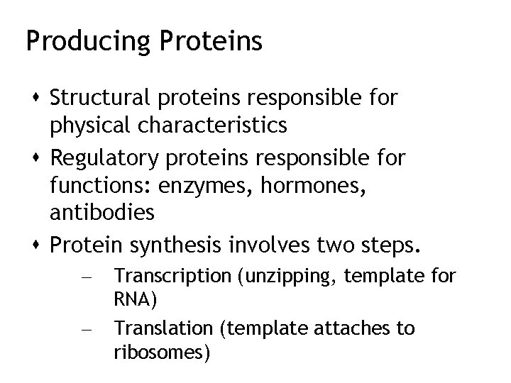 Producing Proteins Structural proteins responsible for physical characteristics Regulatory proteins responsible for functions: enzymes,