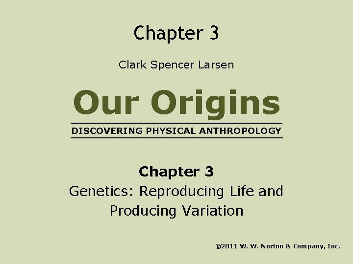 Chapter 3 Clark Spencer Larsen Our Origins DISCOVERING PHYSICAL ANTHROPOLOGY Chapter 3 Genetics: Reproducing
