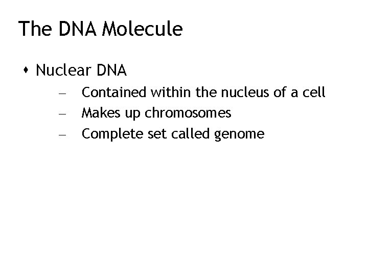 The DNA Molecule Nuclear DNA – – – Contained within the nucleus of a