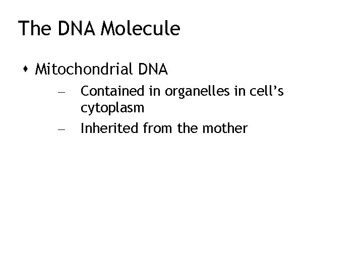 The DNA Molecule Mitochondrial DNA – – Contained in organelles in cell’s cytoplasm Inherited