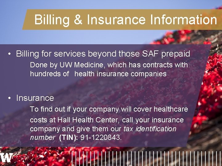 Billing & Insurance Information • Billing for services beyond those SAF prepaid Done by