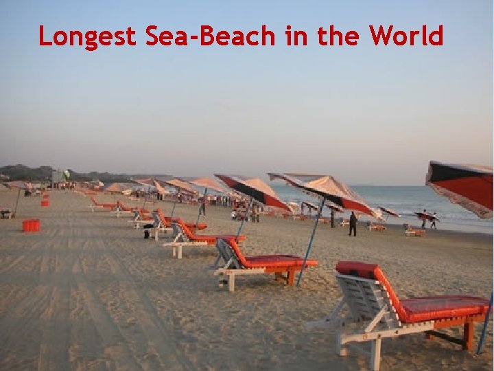 Longest Sea-Beach in the World 