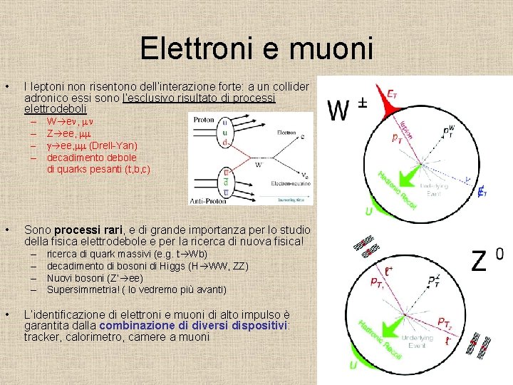 Interazione Forte E Debole Differenza