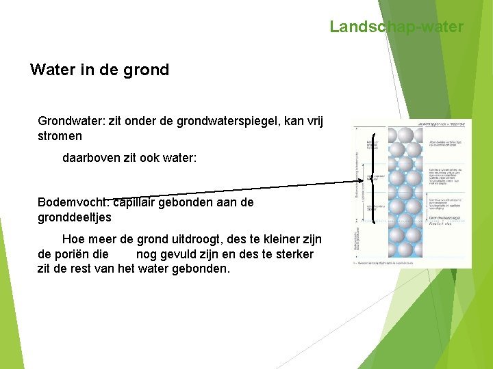 Landschap-water Water in de grond Grondwater: zit onder de grondwaterspiegel, kan vrij stromen daarboven