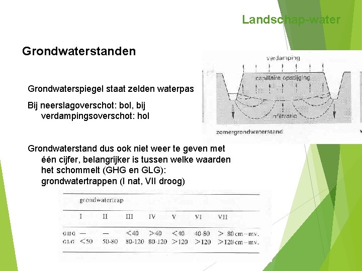 Landschap-water Grondwaterstanden Grondwaterspiegel staat zelden waterpas Bij neerslagoverschot: bol, bij verdampingsoverschot: hol Grondwaterstand dus