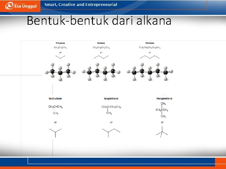 Bentuk-bentuk dari alkana 