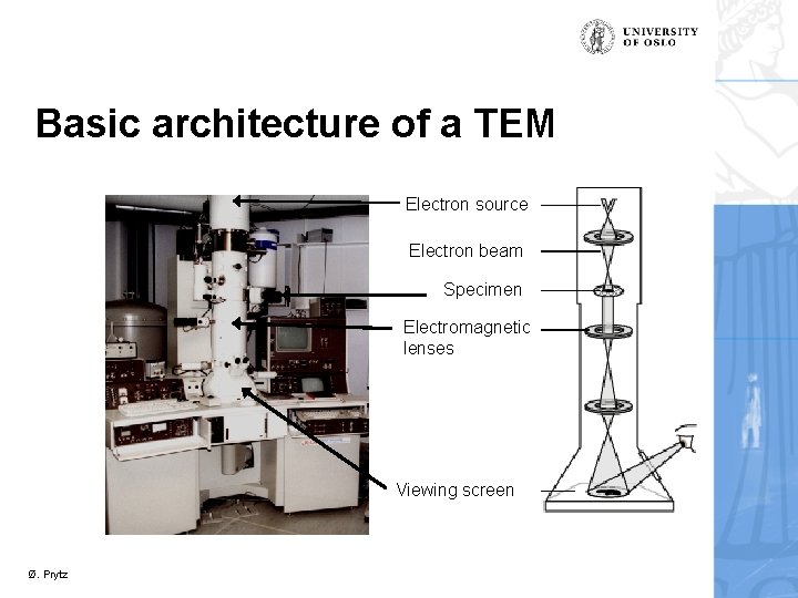 Basic architecture of a TEM Electron source Electron beam Specimen Electromagnetic lenses Viewing screen