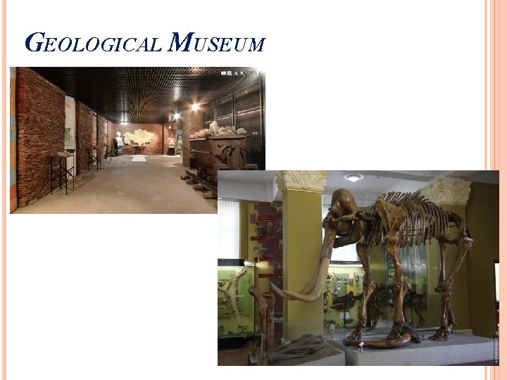 GEOLOGICAL MUSEUM 