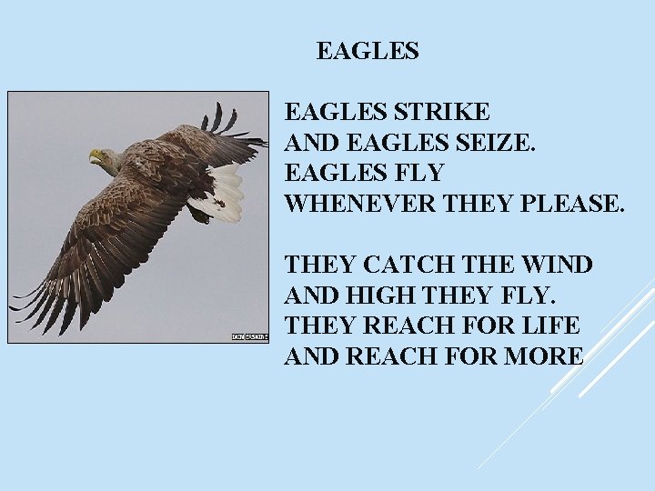 EAGLES STRIKE AND EAGLES SEIZE. EAGLES FLY WHENEVER THEY PLEASE. THEY CATCH THE WIND