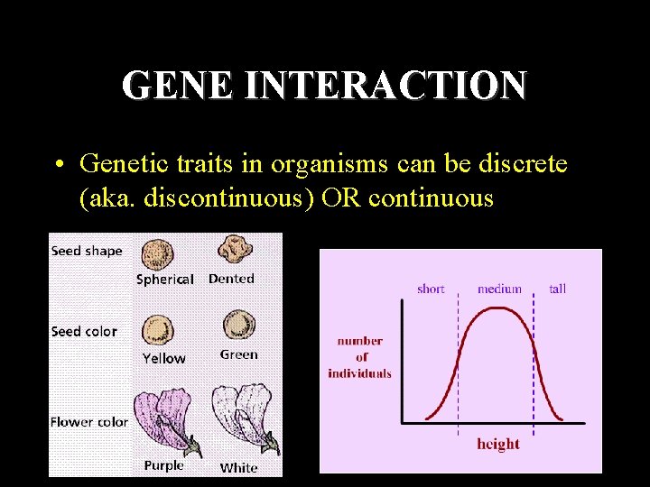 GENE INTERACTION • Genetic traits in organisms can be discrete (aka. discontinuous) OR continuous