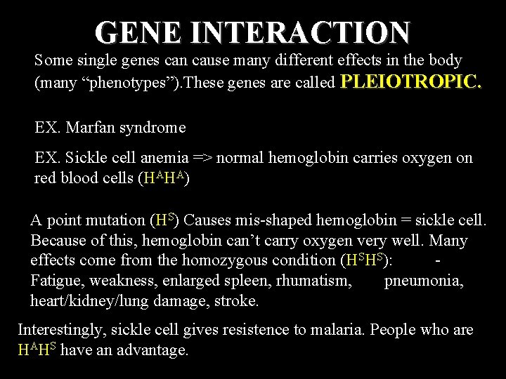 GENE INTERACTION Some single genes can cause many different effects in the body (many