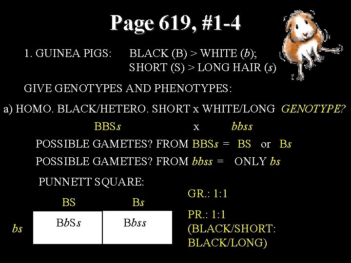 Page 619, #1 -4 1. GUINEA PIGS: BLACK (B) > WHITE (b); SHORT (S)
