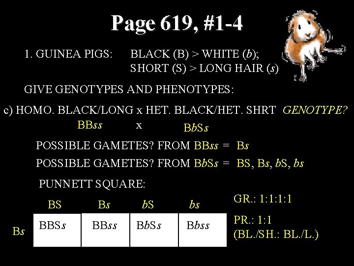 Page 619, #1 -4 1. GUINEA PIGS: BLACK (B) > WHITE (b); SHORT (S)