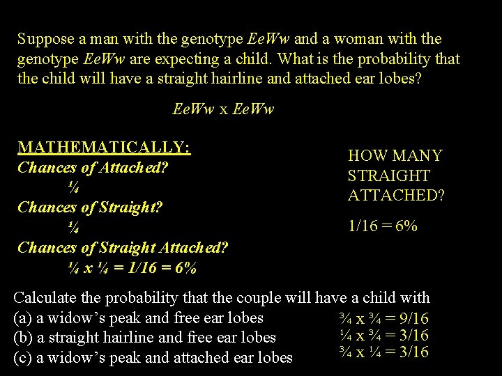 Suppose a man with the genotype Ee. Ww and a woman with the genotype