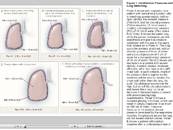Copyright © 2004 Pearson Education, Inc. , publishing as Benjamin Cummings 