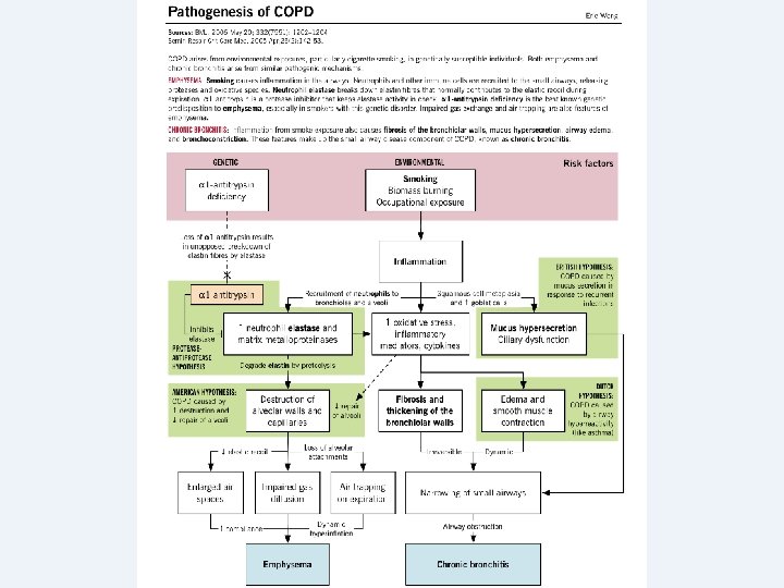 Copyright © 2004 Pearson Education, Inc. , publishing as Benjamin Cummings 