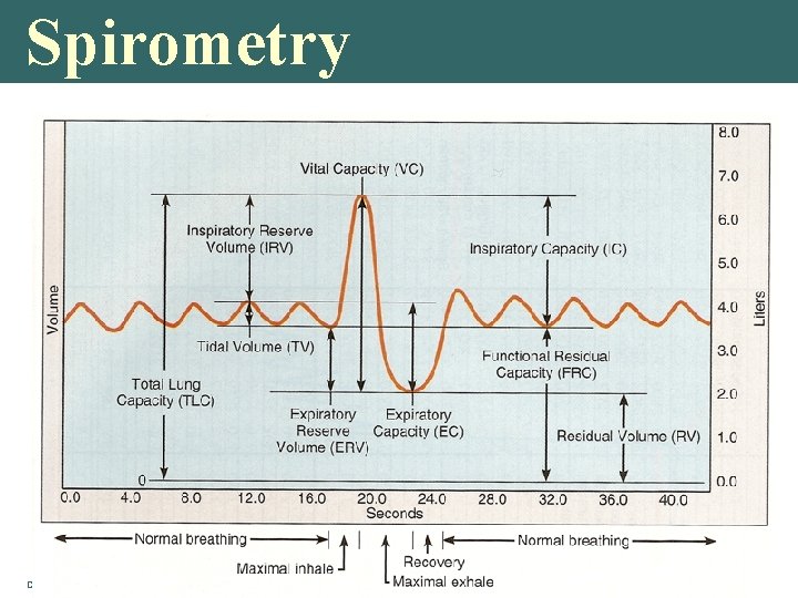 Spirometry Copyright © 2004 Pearson Education, Inc. , publishing as Benjamin Cummings 
