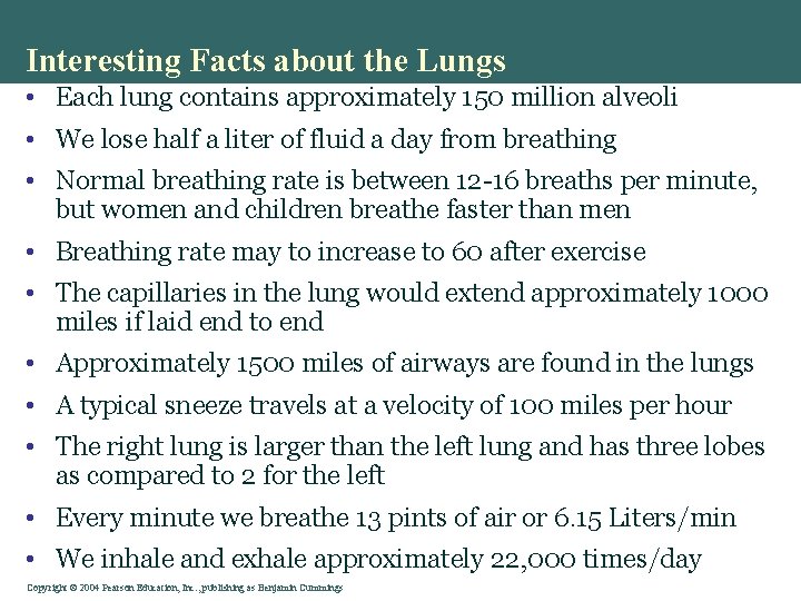 Interesting Facts about the Lungs • Each lung contains approximately 150 million alveoli •