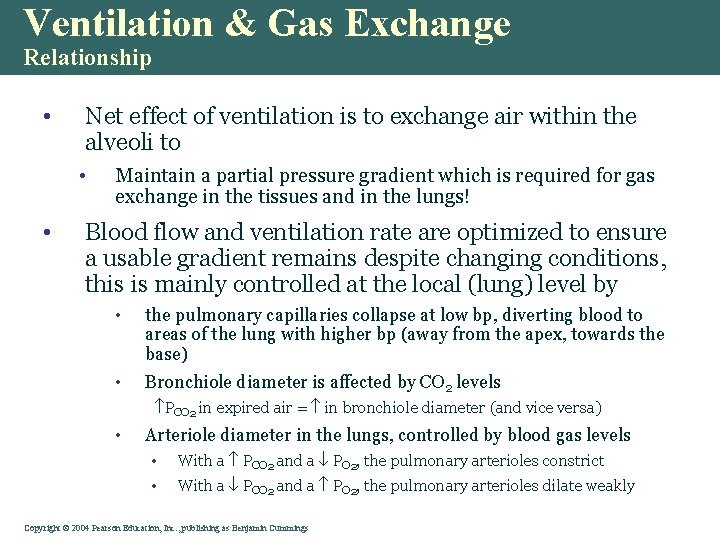 Ventilation & Gas Exchange Relationship • Net effect of ventilation is to exchange air