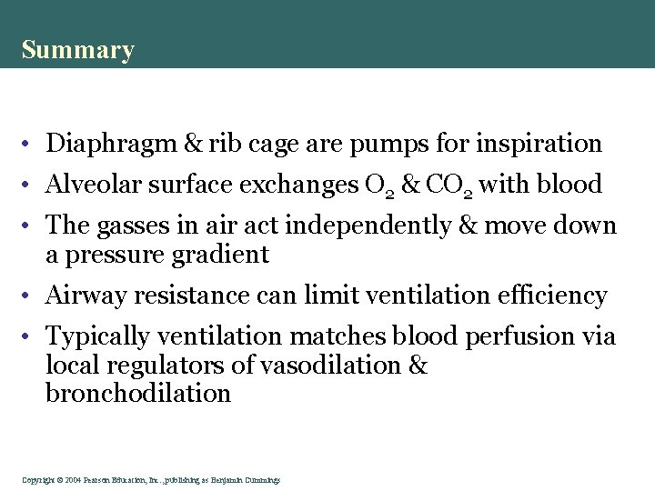 Summary • Diaphragm & rib cage are pumps for inspiration • Alveolar surface exchanges