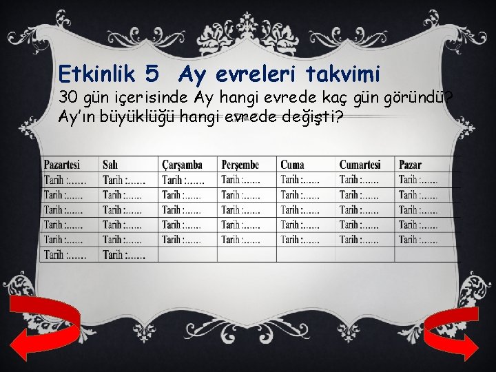 Etkinlik 5 Ay evreleri takvimi 30 gün içerisinde Ay hangi evrede kaç gün göründü?