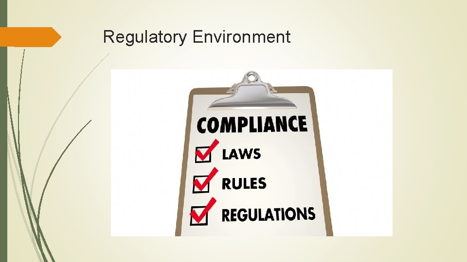 Regulatory Environment 