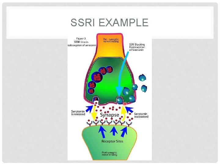 SSRI EXAMPLE 