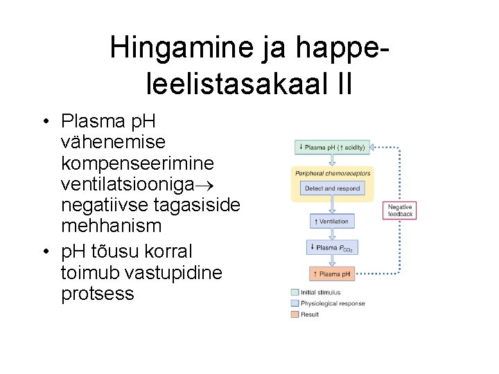 Hingamine ja happeleelistasakaal II • Plasma p. H vähenemise kompenseerimine ventilatsiooniga negatiivse tagasiside mehhanism