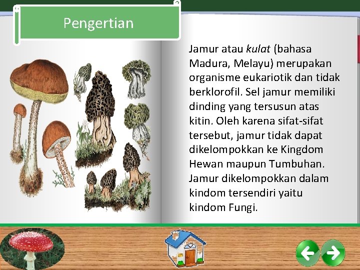 Pengertian Jamur atau kulat (bahasa Madura, Melayu) merupakan organisme eukariotik dan tidak berklorofil. Sel