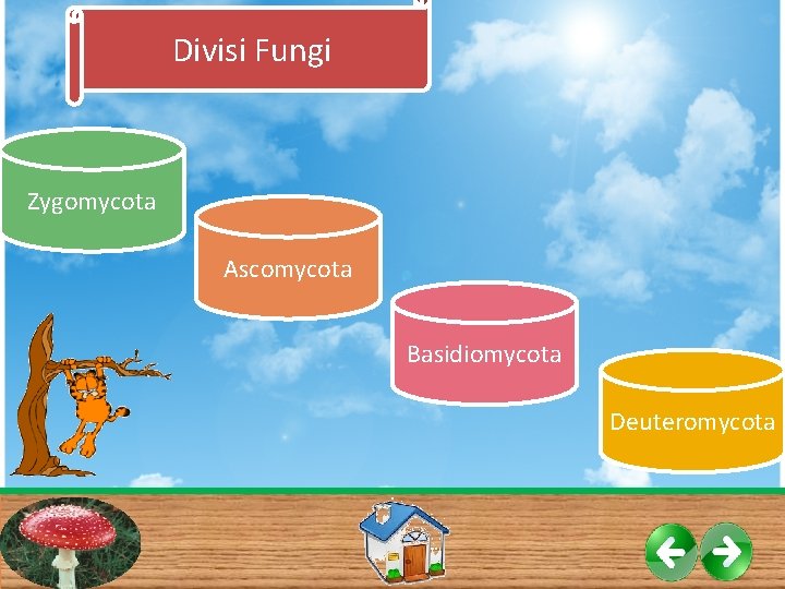 Divisi Fungi Zygomycota Ascomycota Basidiomycota Deuteromycota Divisi Fungi Zygomycota Ascomycota Basidiomycota Deuteromycota