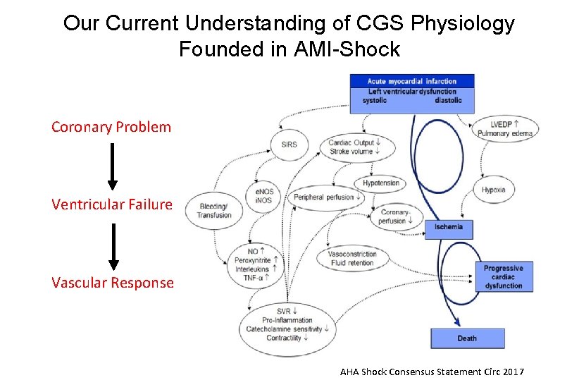 Our Current Understanding of CGS Physiology Founded in AMI-Shock Coronary Problem Ventricular Failure Vascular