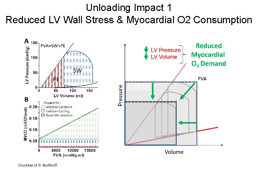 Unloading Impact 1 Reduced LV Wall Stress & Myocardial O 2 Consumption Courtesy of