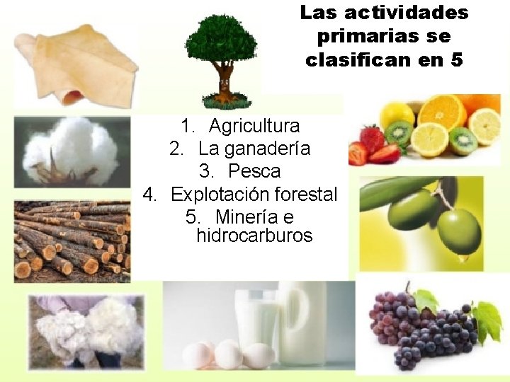 Las actividades primarias se clasifican en 5 1. Agricultura 2. La ganadería 3. Pesca