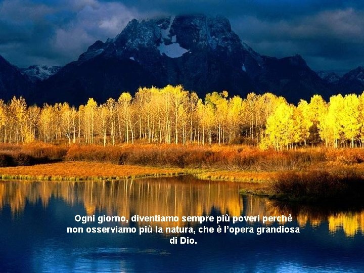 Ogni giorno, diventiamo sempre più poveri perchè non osserviamo più la natura, che è