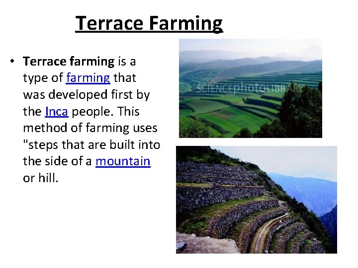 Terrace Farming • Terrace farming is a type of farming that was developed first