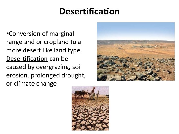 Desertification • Conversion of marginal rangeland or cropland to a more desert like land