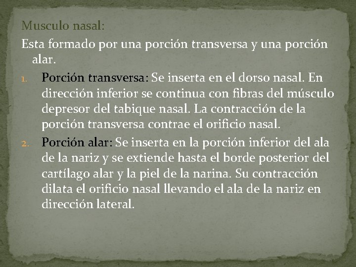 Musculo nasal: Esta formado por una porción transversa y una porción alar. 1. Porción