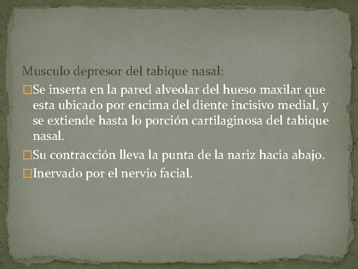 Musculo depresor del tabique nasal: �Se inserta en la pared alveolar del hueso maxilar
