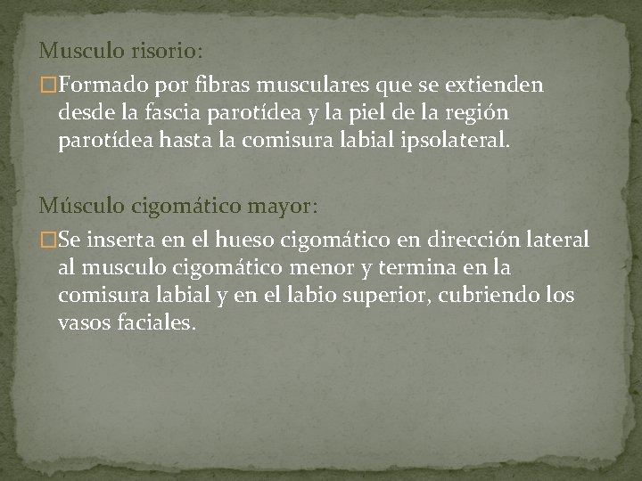 Musculo risorio: �Formado por fibras musculares que se extienden desde la fascia parotídea y