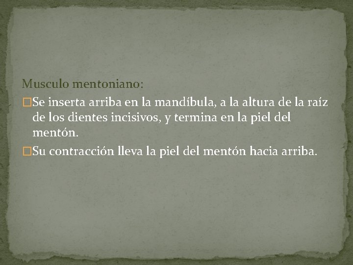 Musculo mentoniano: �Se inserta arriba en la mandíbula, a la altura de la raíz