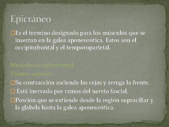 Epicráneo �Es el termino designado para los músculos que se insertan en la galea